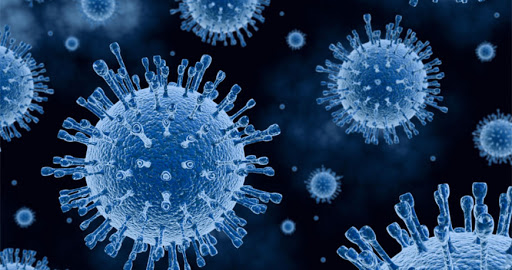 Condiloma Dr. Xavier Obando Coloproctólogo en Quito